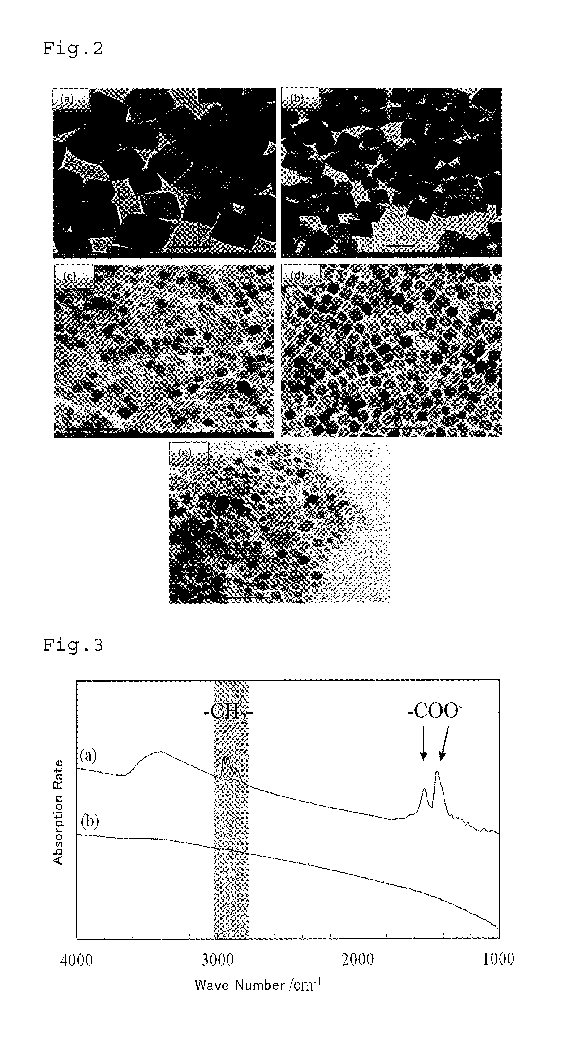 Method of processing organic substance in presence of water, contact reaction device and system including same and method of recovering waste heat from low-temperature heat source