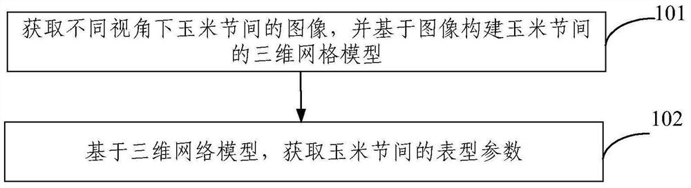 Method and device for obtaining maize internode phenotypic parameters