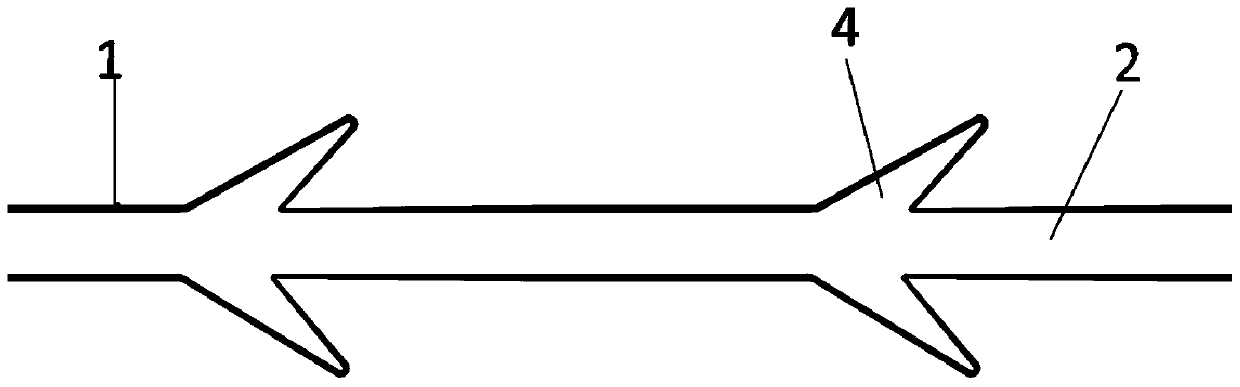 Implant as well as preparation method and application thereof