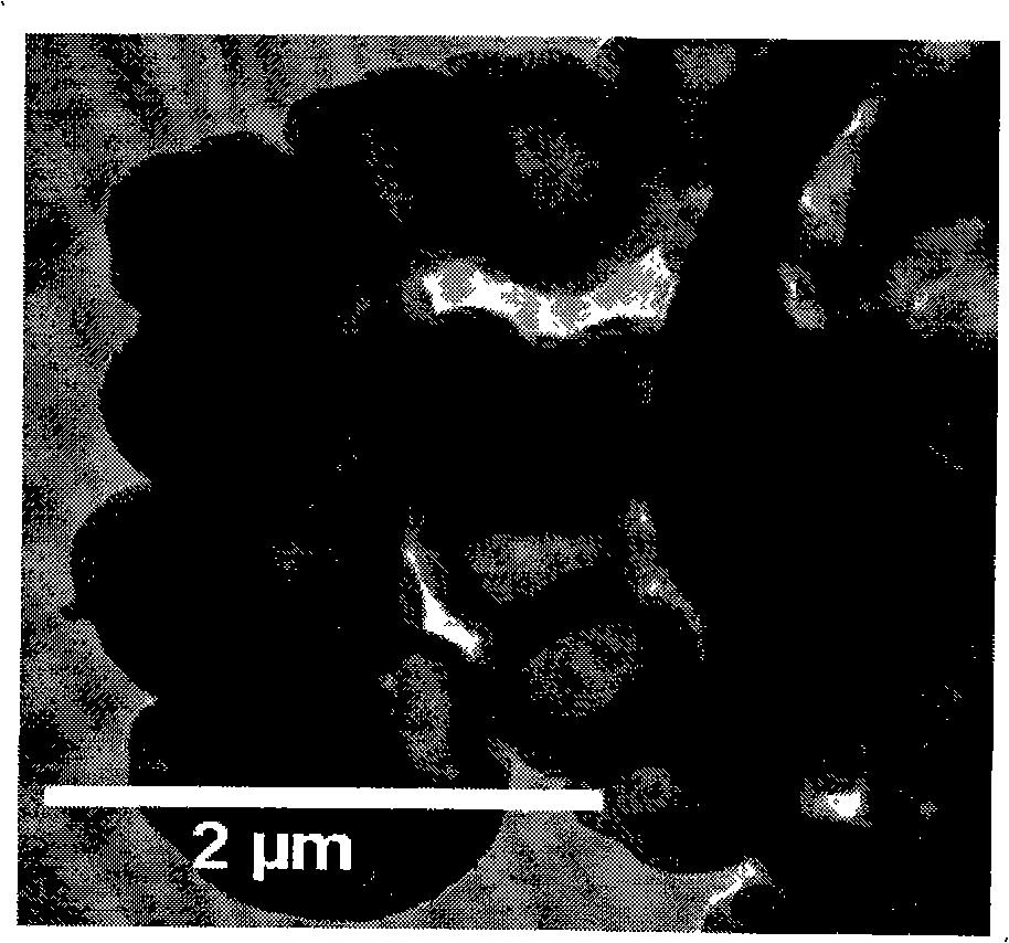 One-step synthesis method for hollow carbon case