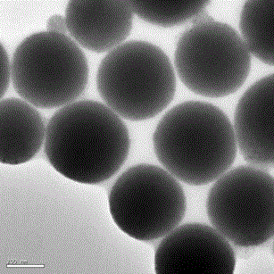 Fe3O4 nanometer particle aggregate and preparation method thereof