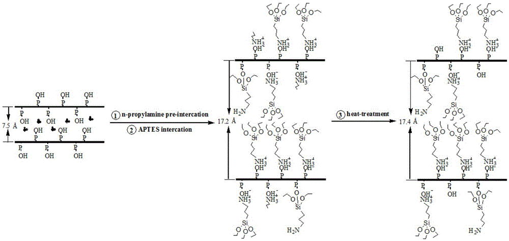 Method for preparing a phosphorus-containing polyethylene glycol terephthalate flame-retardant copolyester / organic intercalated alpha-ZrP nanocomposite