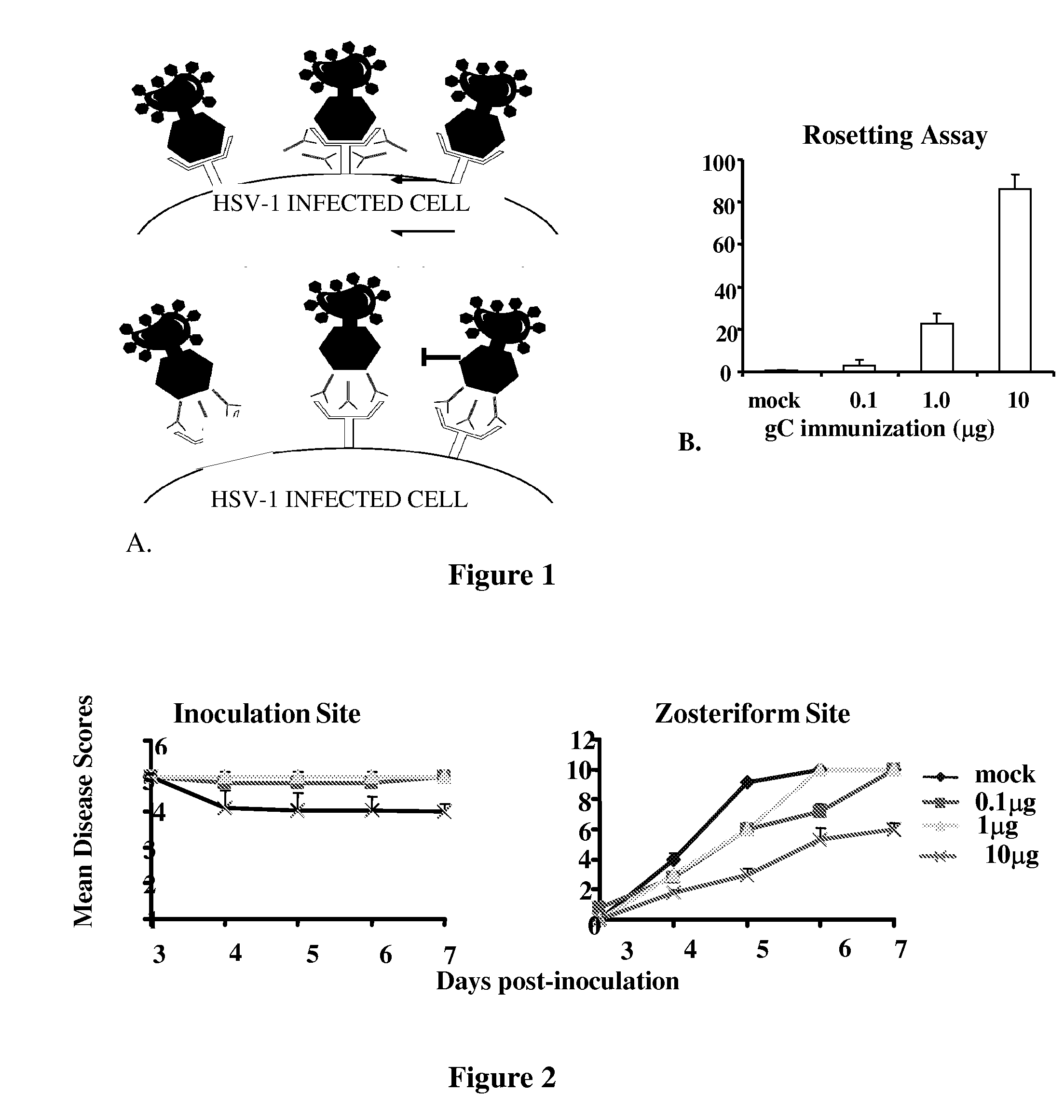 Herpes simplex virus combined subunit vaccines and methods of use thereof