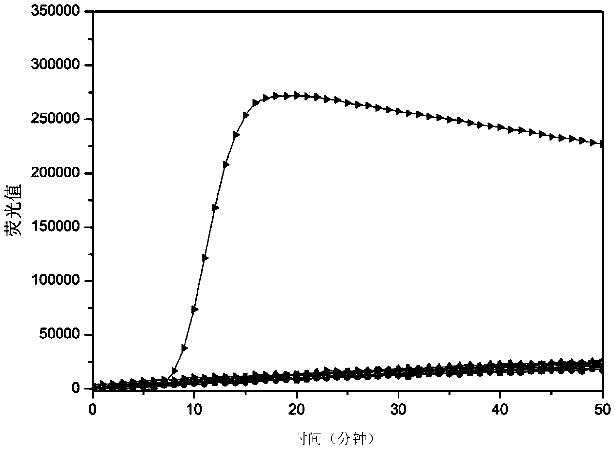 A kind of nucleic acid encapsulation reagent and its application