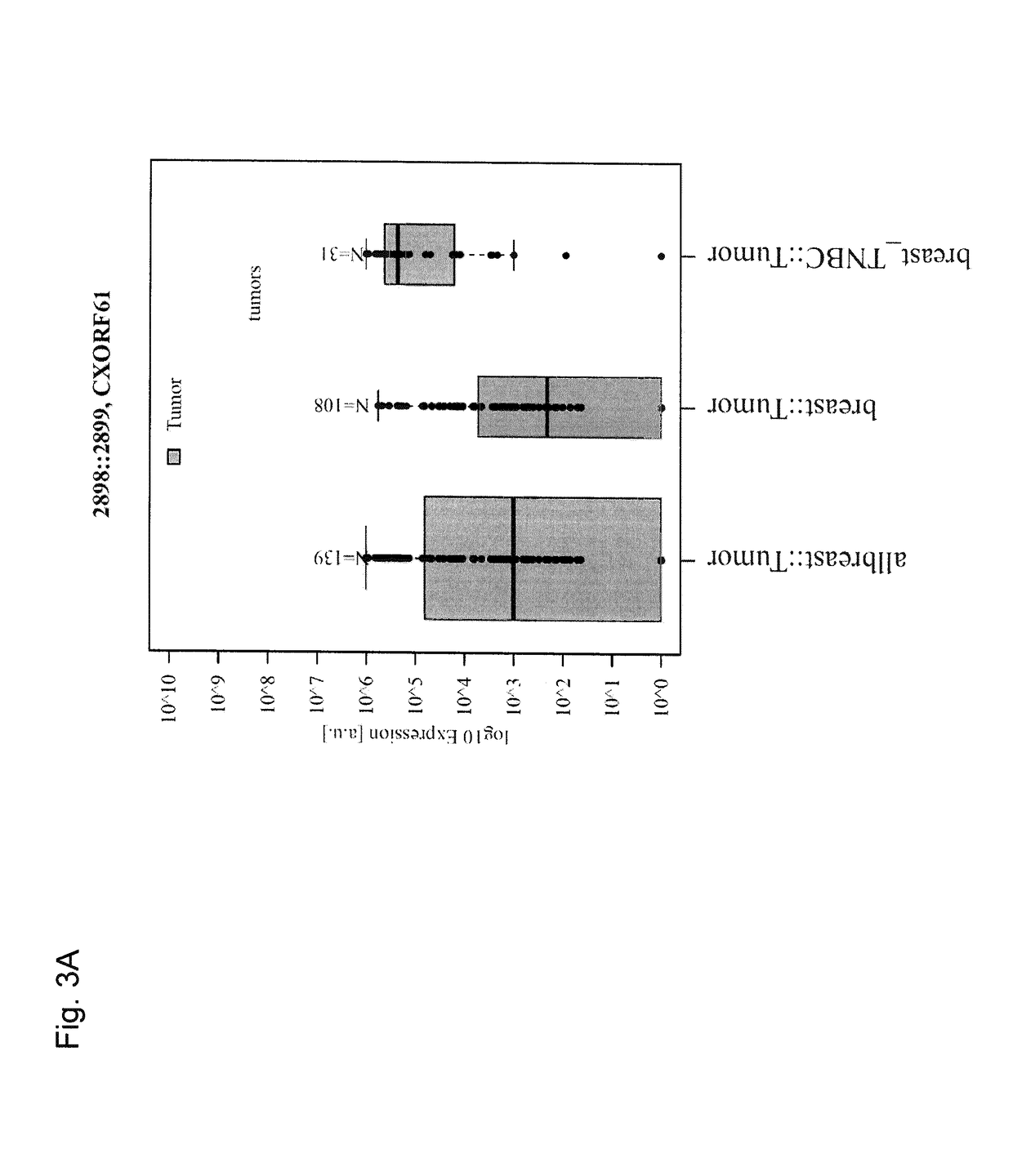 Tumor antigens for determining cancer therapy