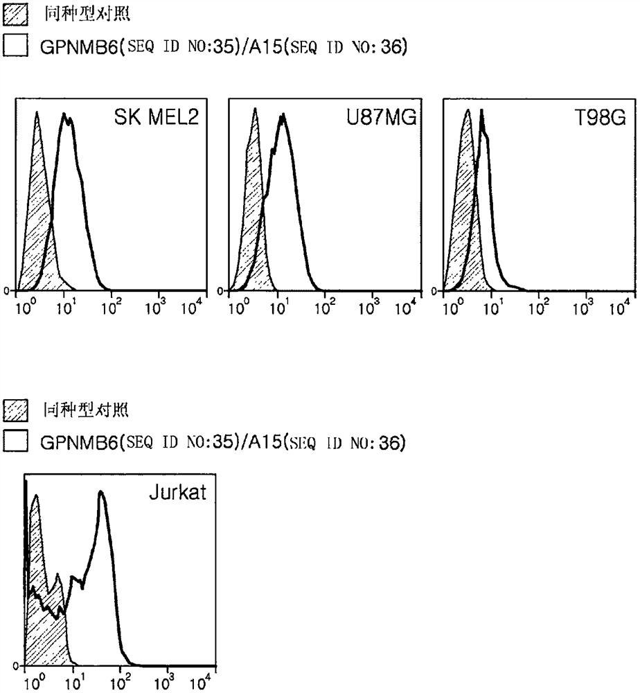 Bispecific antibody specifically binding to gpnmb and cd3, and use thereof