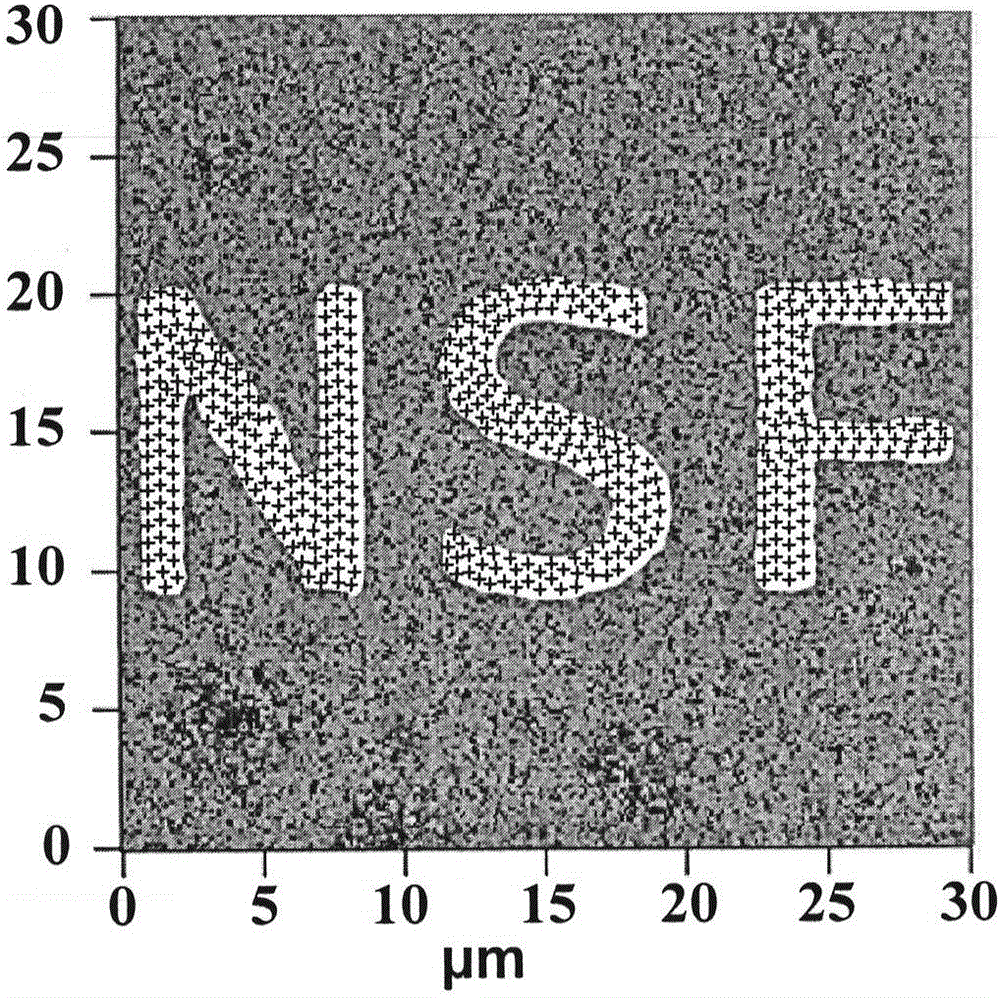 Micro-nano magnetoelectric coupler based on ferroelectric film and self-assembly magnetic nanometer particle structure