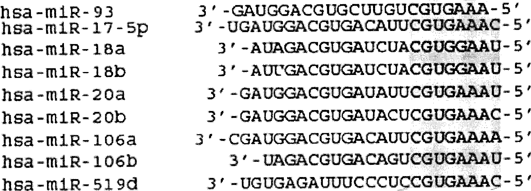 Micro RNA capable of inducing stem cell to differentiate toward osteoblasts and use thereof