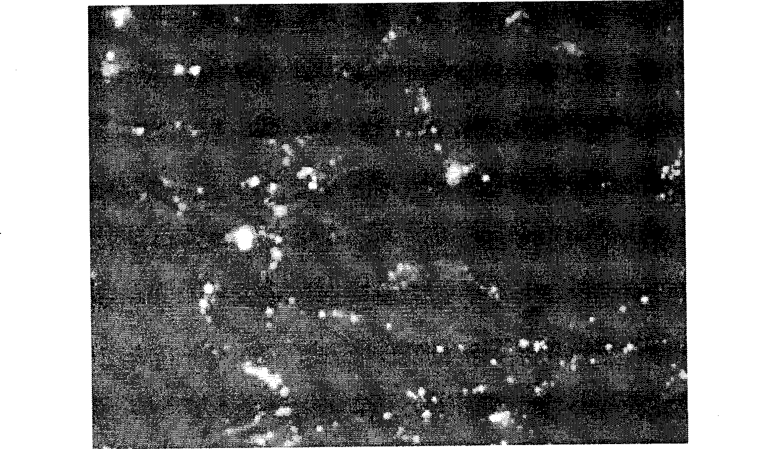 Micro RNA capable of inducing stem cell to differentiate toward osteoblasts and use thereof