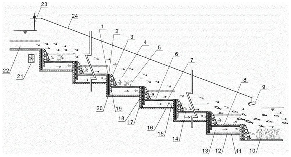 Multi-level drive-assisted ecological fishway facility and its operation method