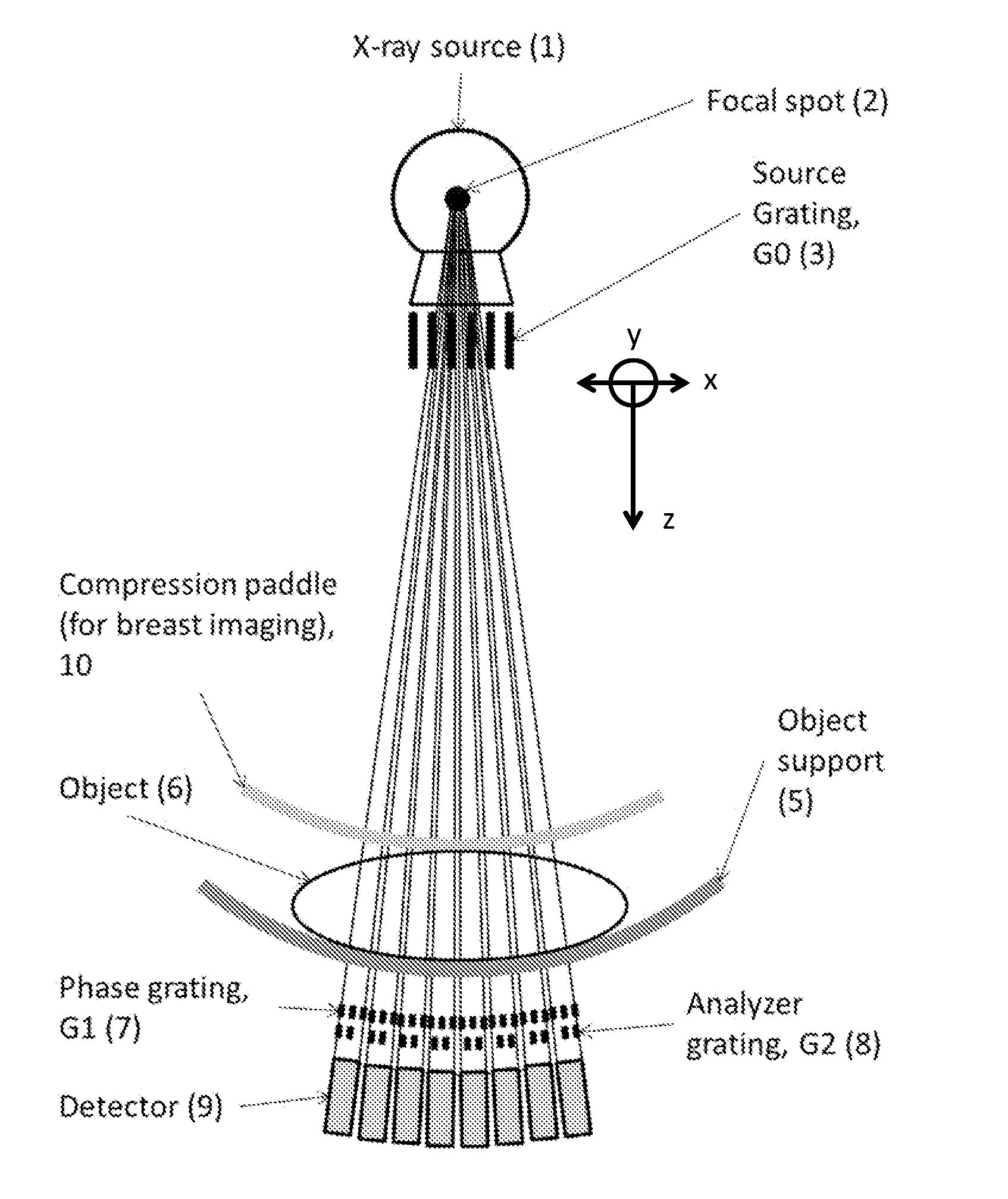 Apparatus and method for x-ray phase contrast imaging