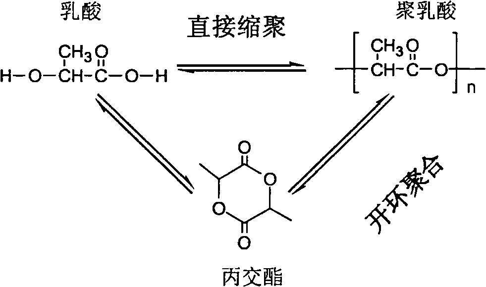 Sulfonic acid compound-containing and tin compound-containing polylactic acid composition and preparation method thereof