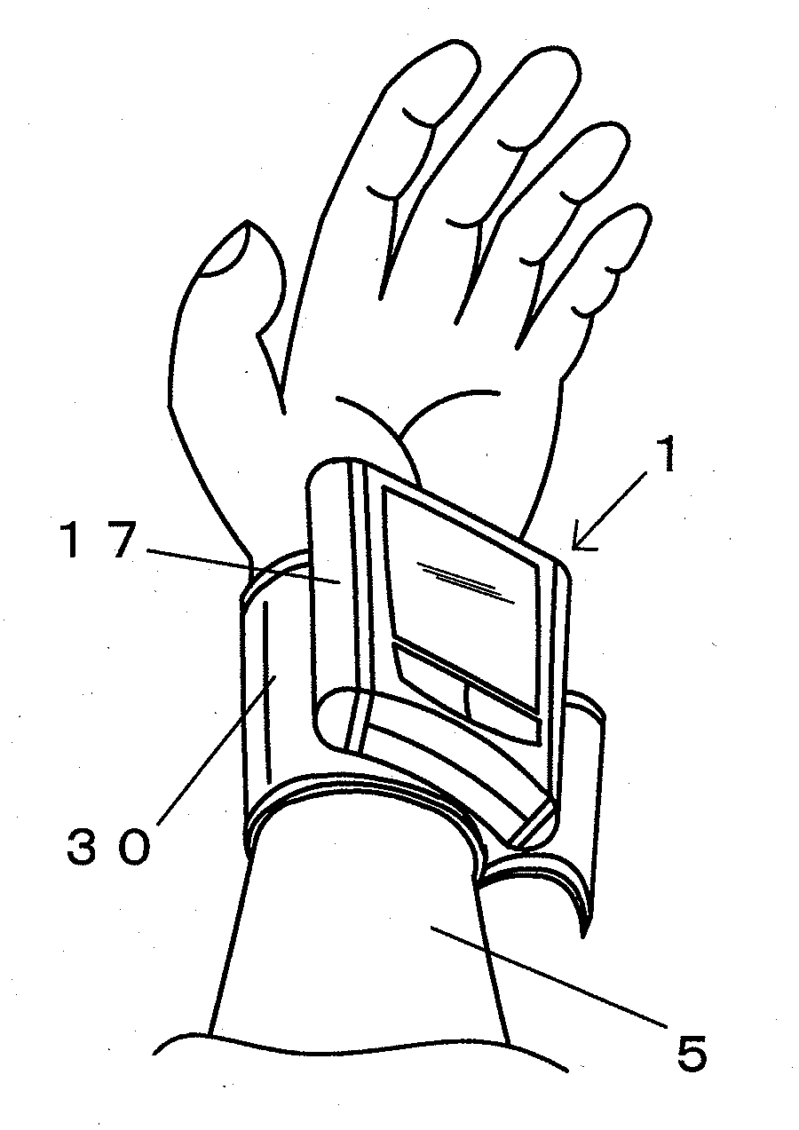 Living body information measuring apparatus