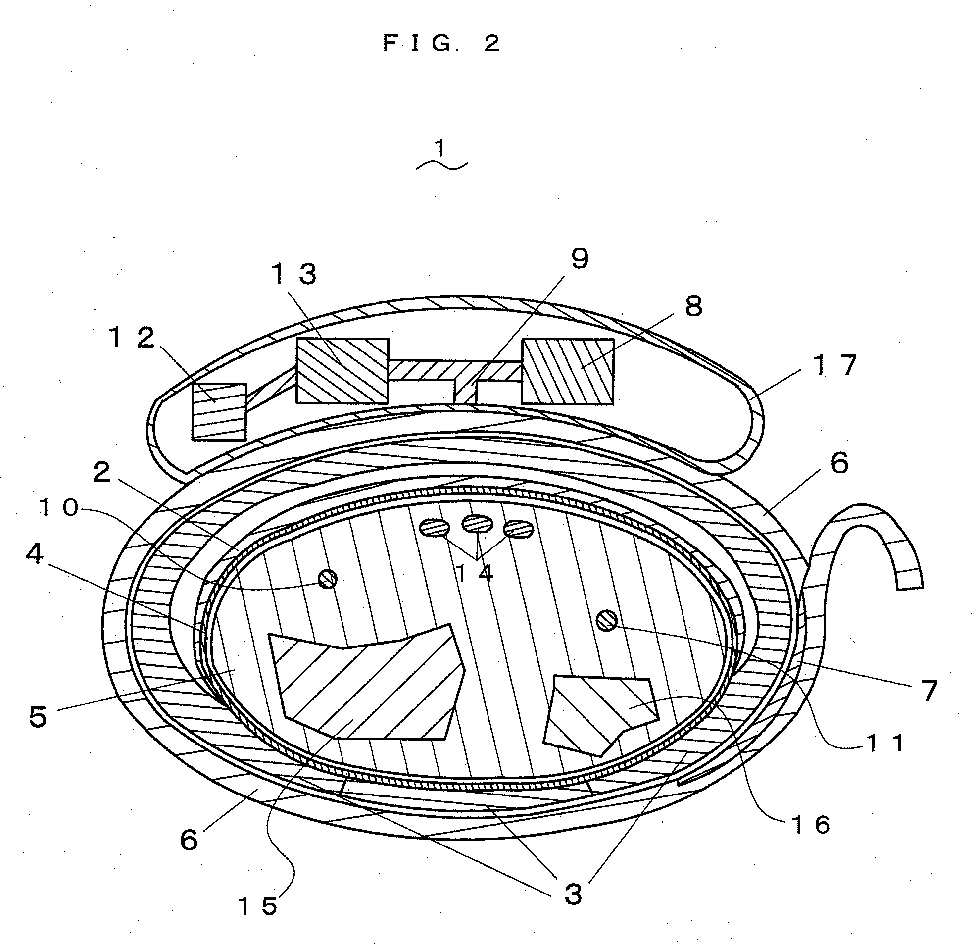 Living body information measuring apparatus