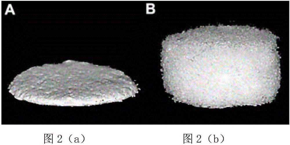 Construction method and applications of antibacterial bionic silicification collagen scaffold material