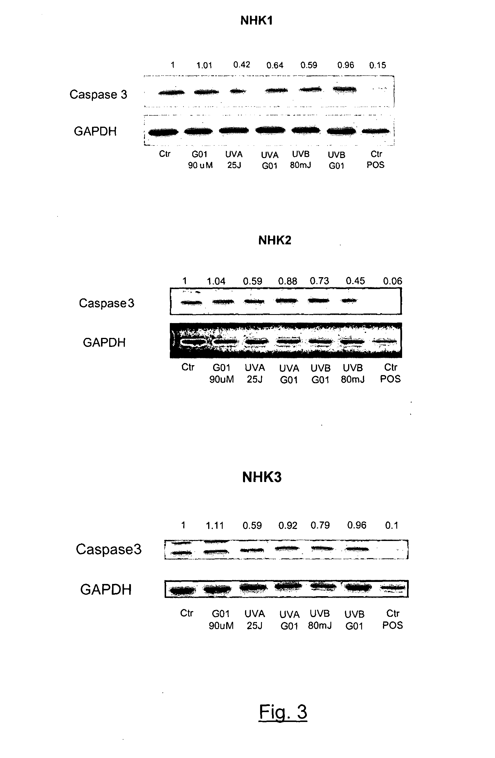 Compositions useful in the prevention or treatment of skin cancer