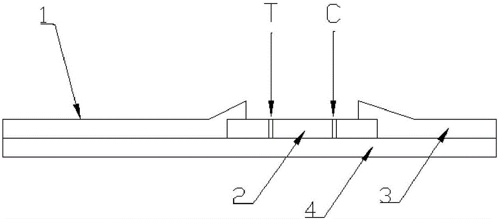 Immunochromatography quantitative detection test paper strip for procalcitonin of terminal blood