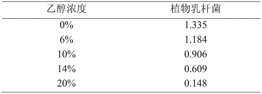 Rice wine brewing method using lactobacillus plantarum to degrade ethyl carbamate (EC)