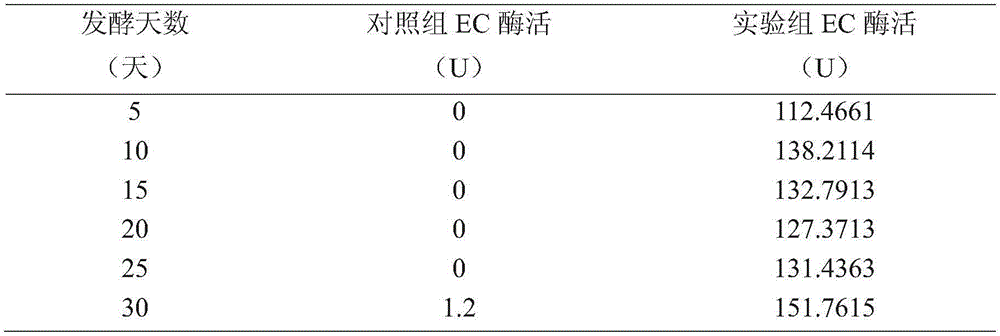 Rice wine brewing method using lactobacillus plantarum to degrade ethyl carbamate (EC)