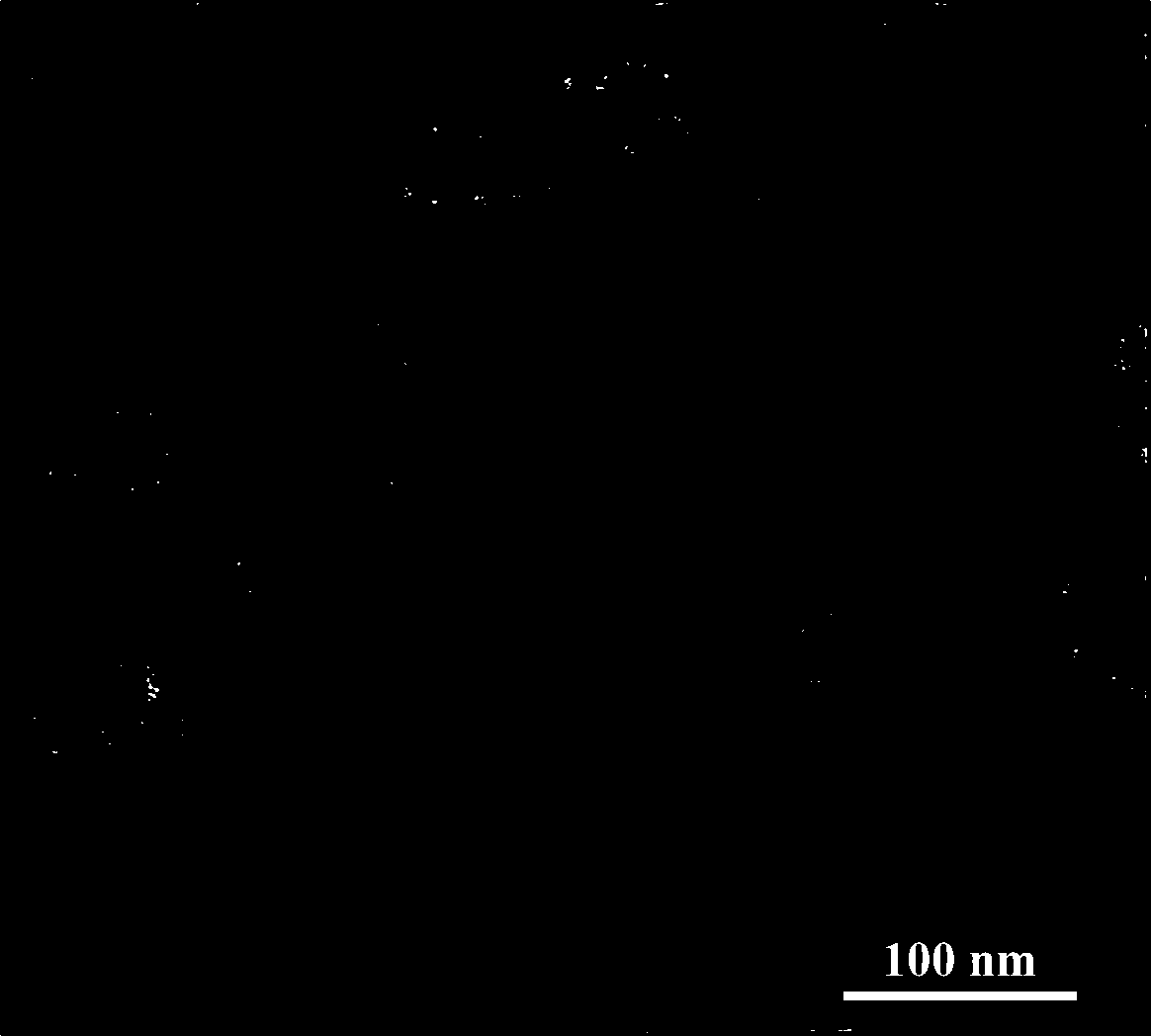 Preparation method of multifunctional biological chip