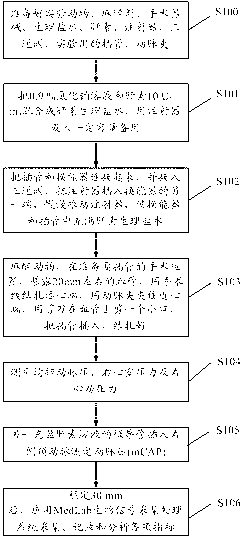 Minipig chronic pulmonary hypertension animal model and construction method thereof