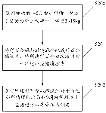 Minipig chronic pulmonary hypertension animal model and construction method thereof