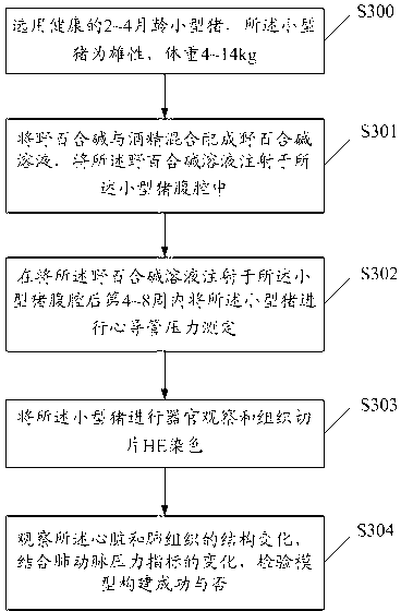 Minipig chronic pulmonary hypertension animal model and construction method thereof