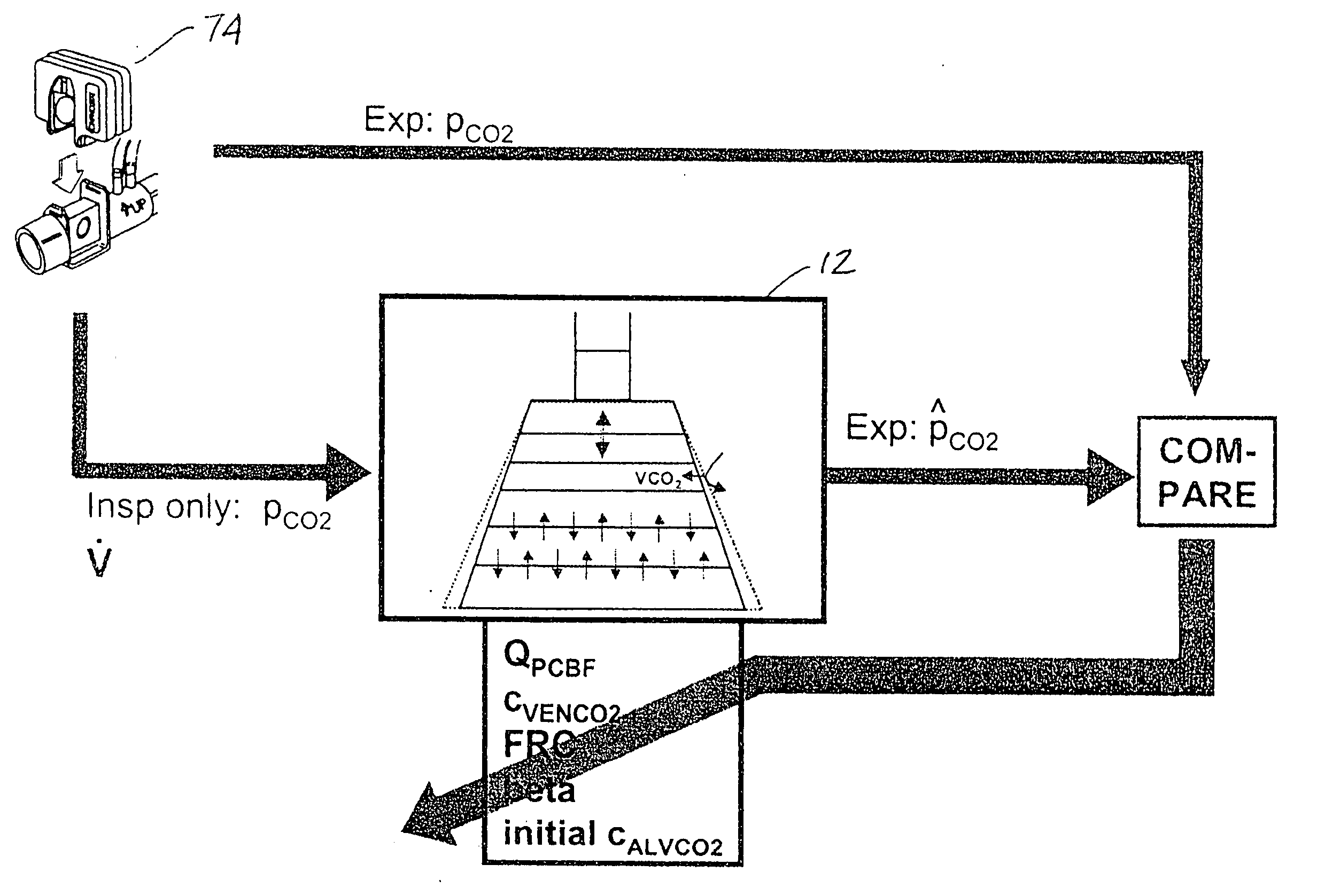 Lung model-based cardiopulmonary performance determination