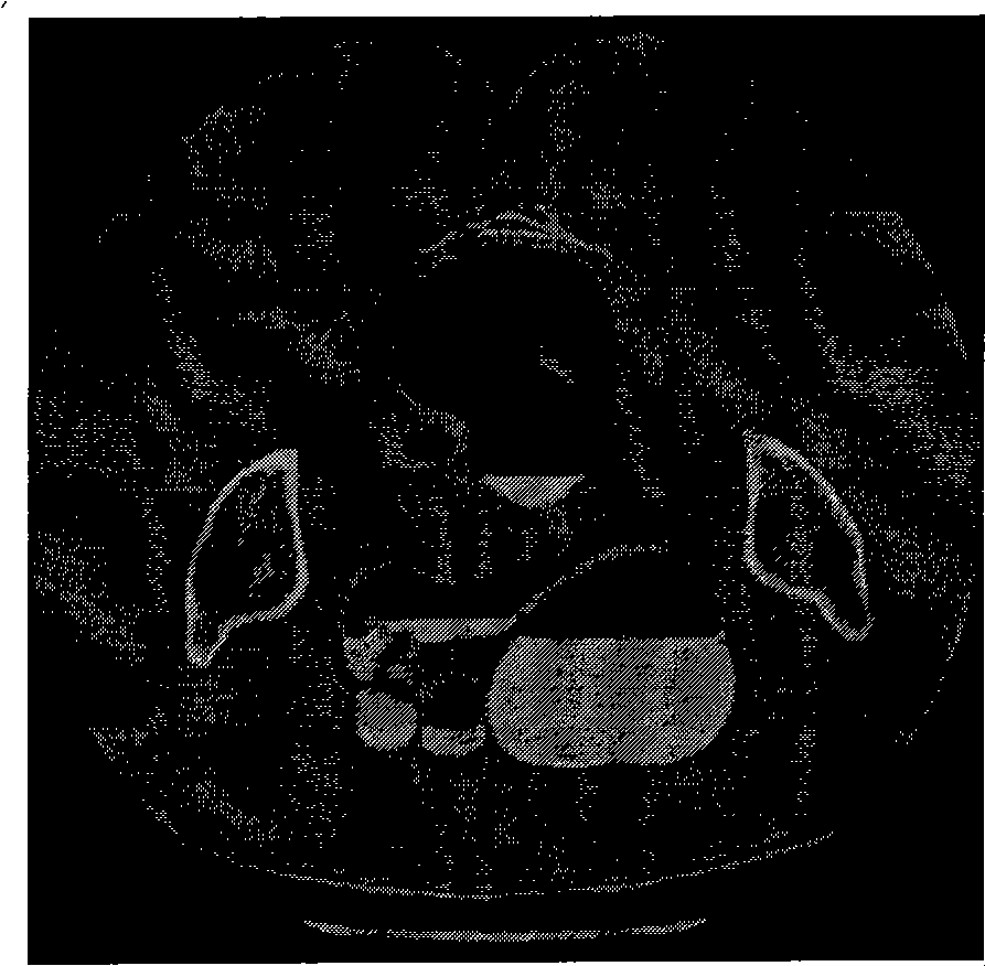 Mixed organization image full-automatic partition method of virtual colonoscope