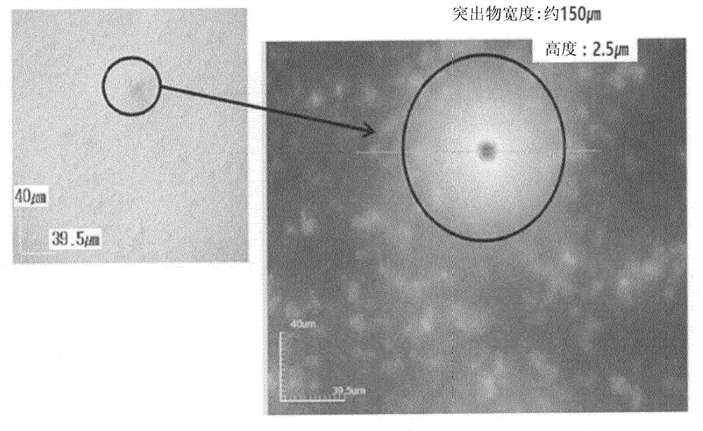 Polarizing plate and display device