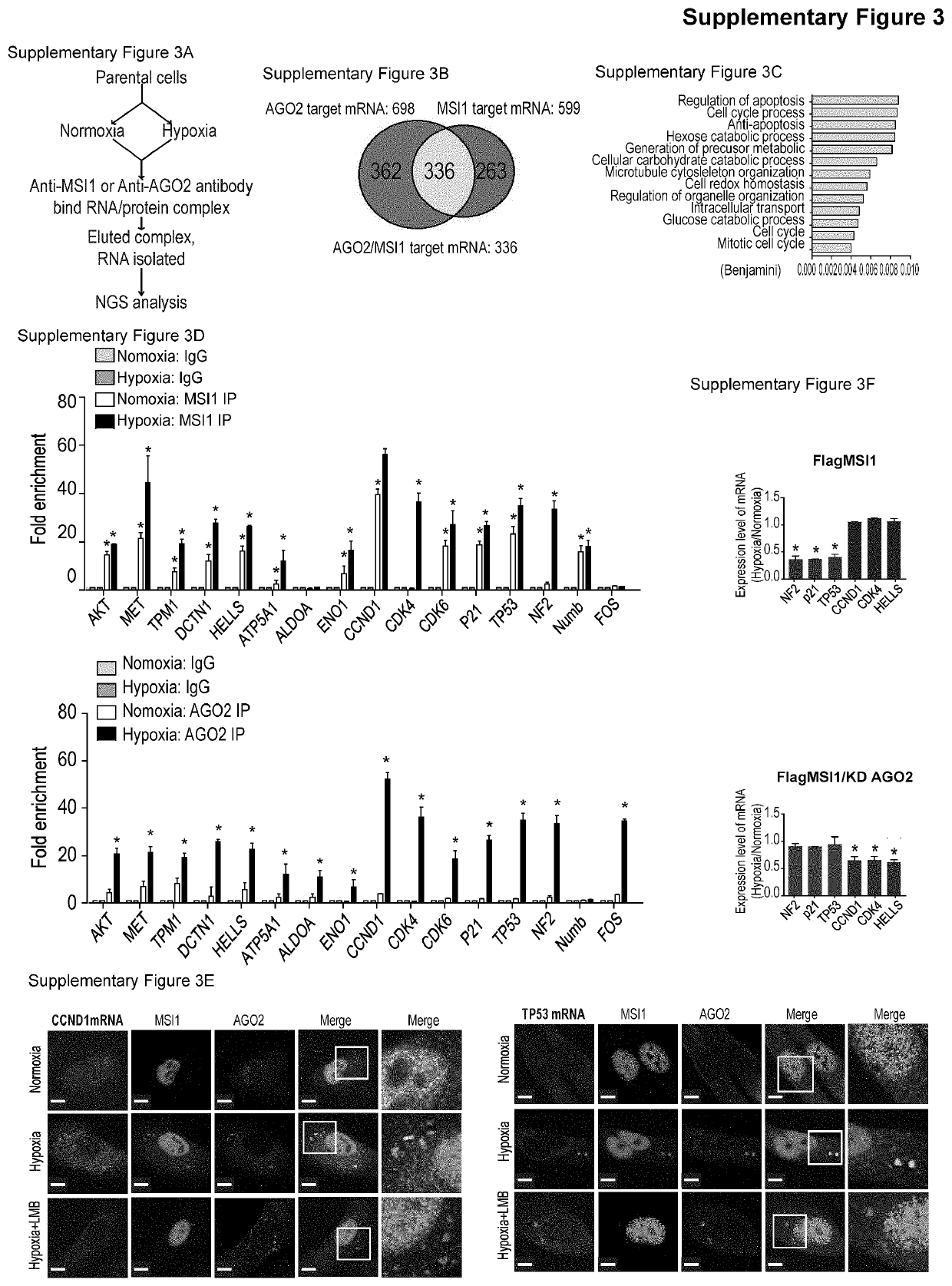 Method for blocking stress-induced tumor progression