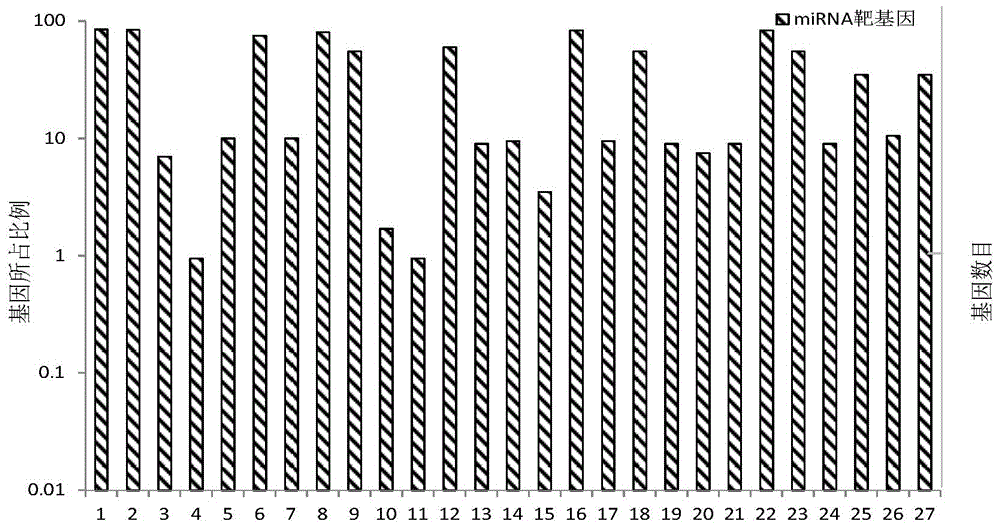 Method for researching oryza sativa and pathogen interaction mode