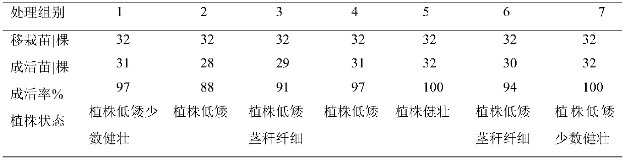 Strawberry tissue culture seedling refining matrix capable of improving strawberry tissue culture seedling refining quality, and preparation method, use method and application thereof