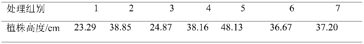 Strawberry tissue culture seedling refining matrix capable of improving strawberry tissue culture seedling refining quality, and preparation method, use method and application thereof