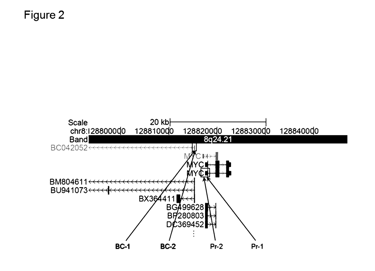 RNA molecules and uses thereof