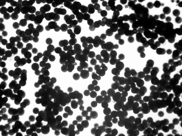 Wall-breaking method for haematococcus pluvialis cells