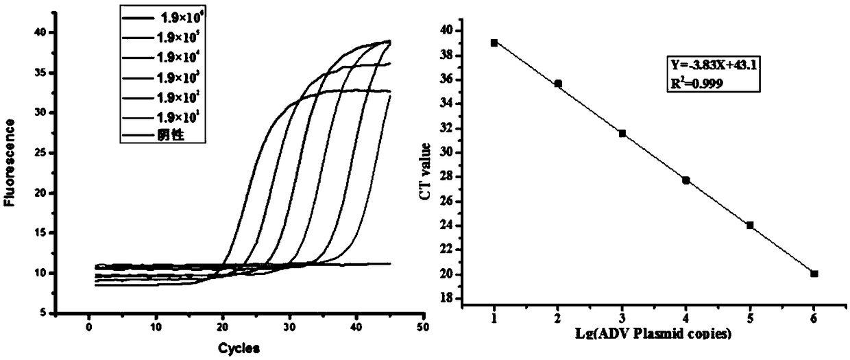 Primer group, kit and method for detecting respiratory pathogens