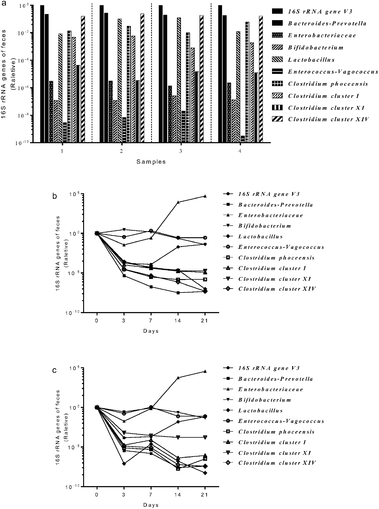 Modeling method of non-rodent animal model for studying intestinal flora