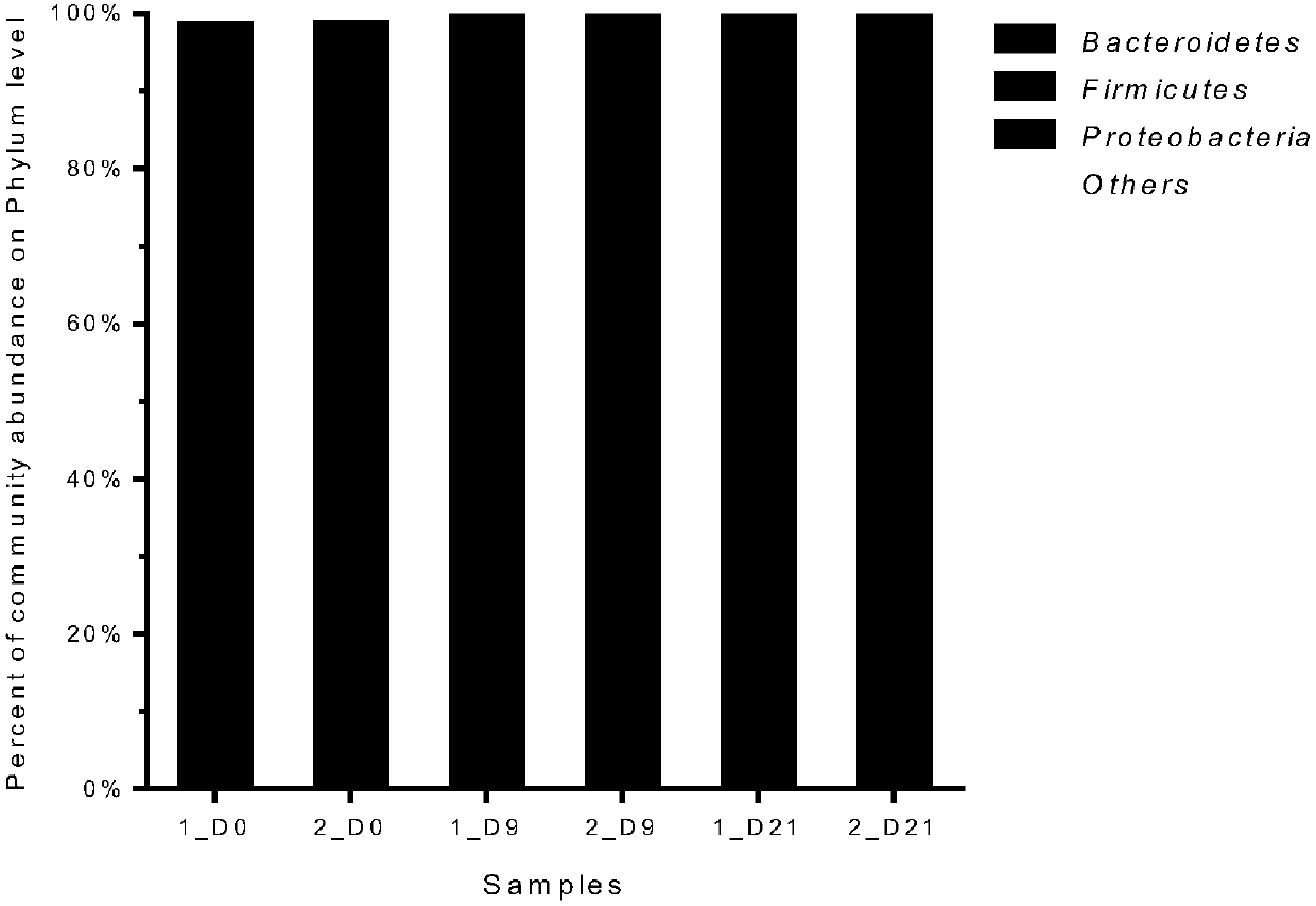 Modeling method of non-rodent animal model for studying intestinal flora