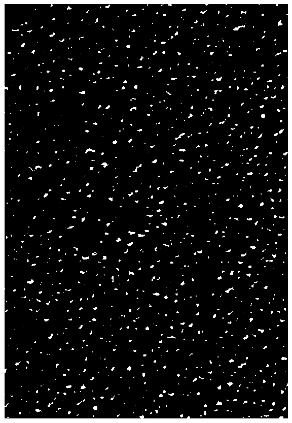 Method for directly loading photocatalyst and filling by layers and member thereof