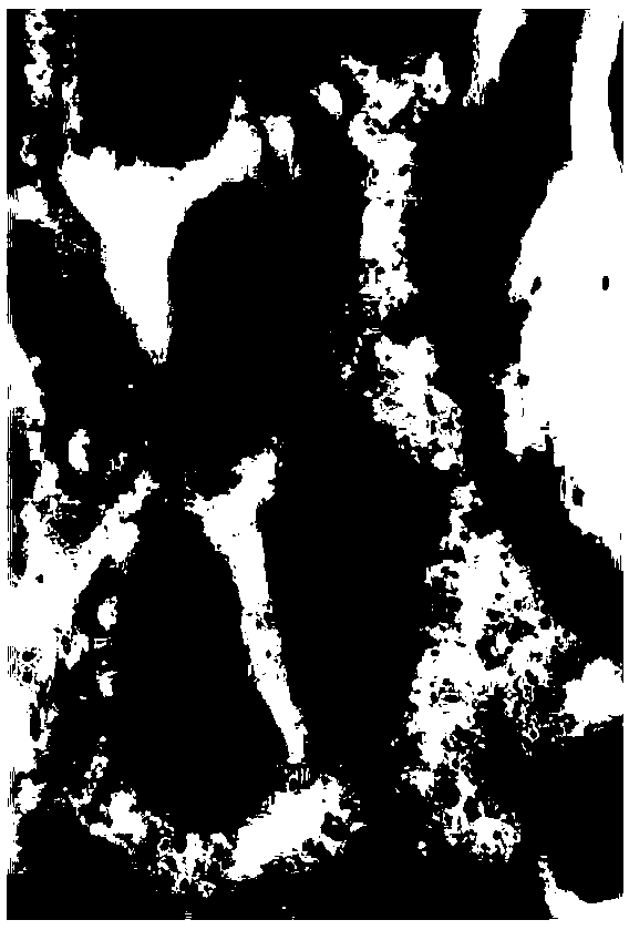 Method for directly loading photocatalyst and filling by layers and member thereof