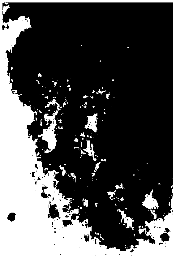 Method for directly loading photocatalyst and filling by layers and member thereof