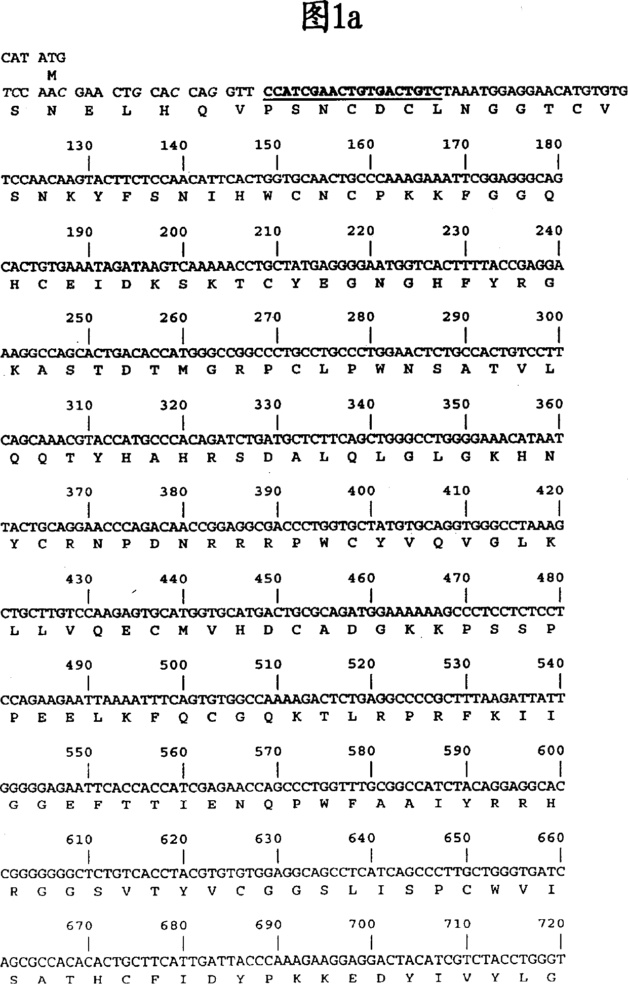 Method for producing recombinaton urokinase