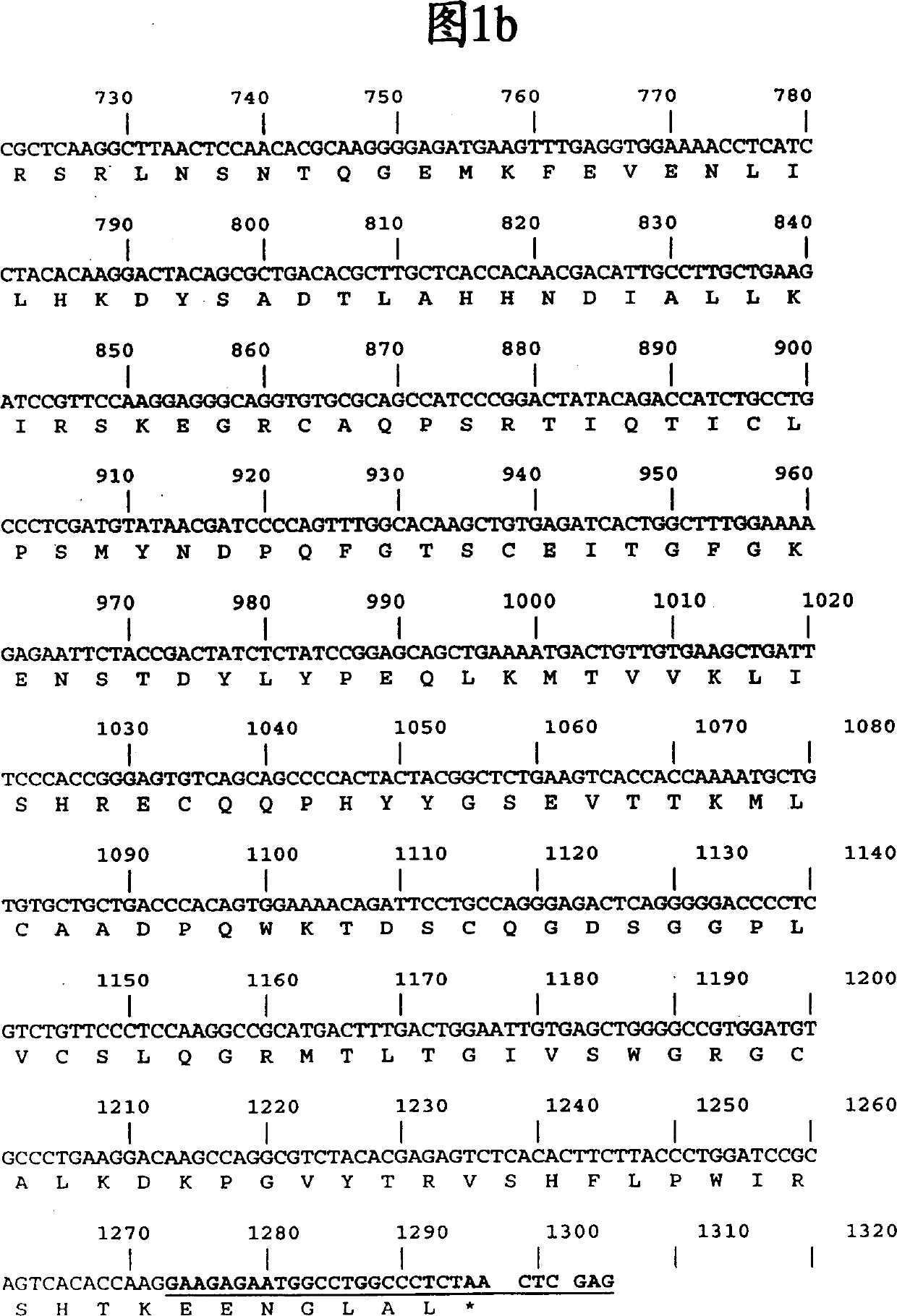 Method for producing recombinaton urokinase