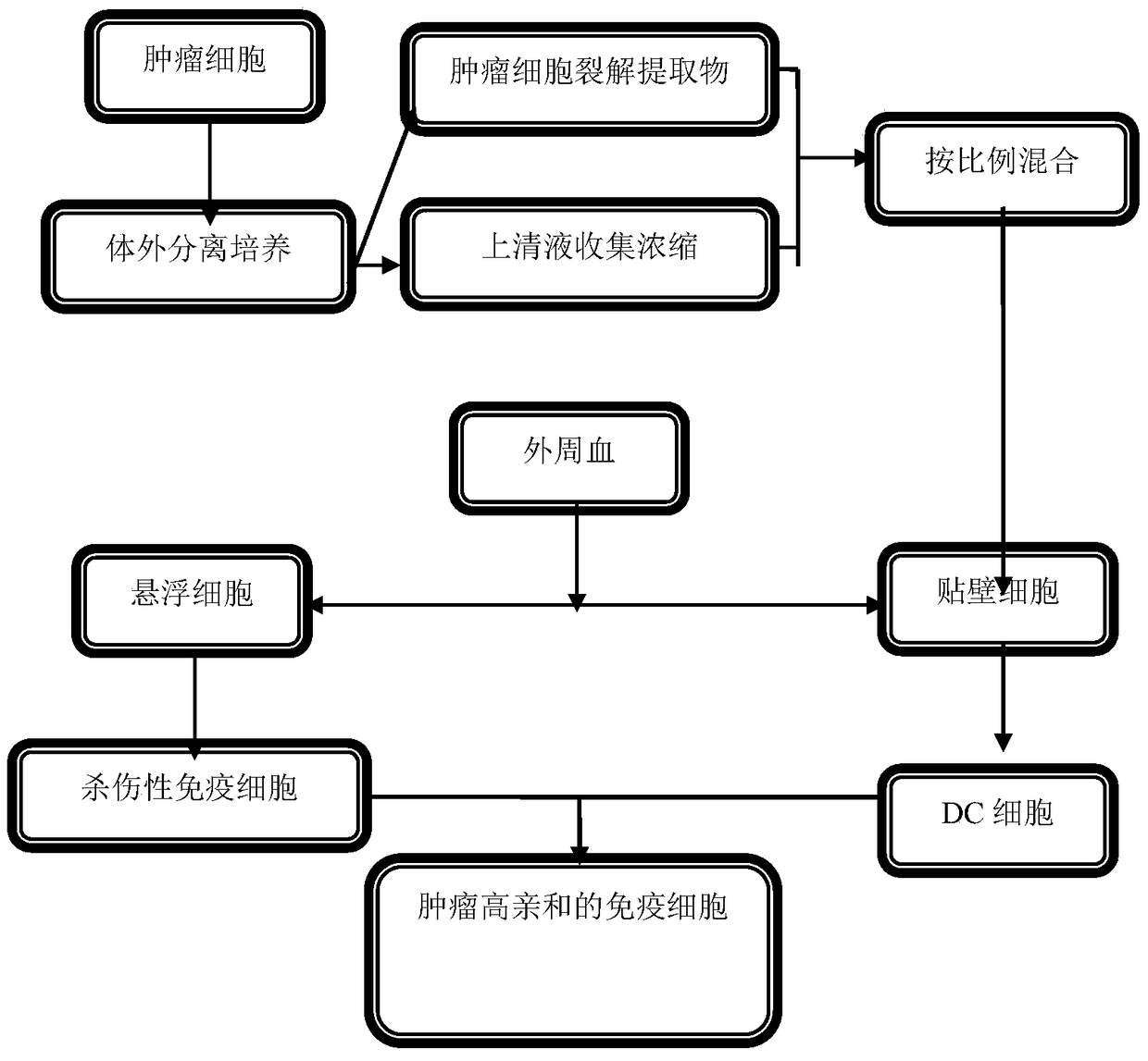 A kind of immune cell and preparation method thereof