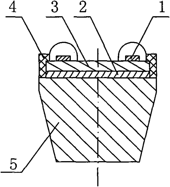 LED (light-emitting diode) optical module for lighting, and LED chip