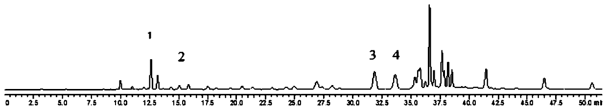 Method for evaluating quality of gnaphalium affine by quantitative-analysis-of-multi-components-by-single-marker (QAMS) method