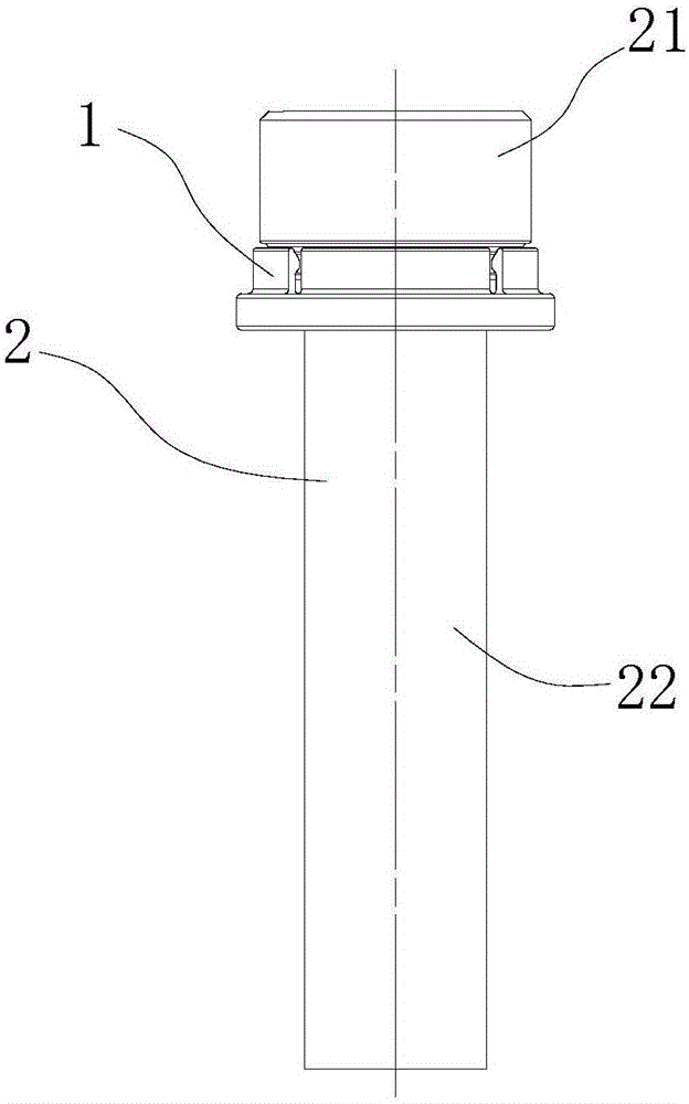 Gasket, screw and screw assembly