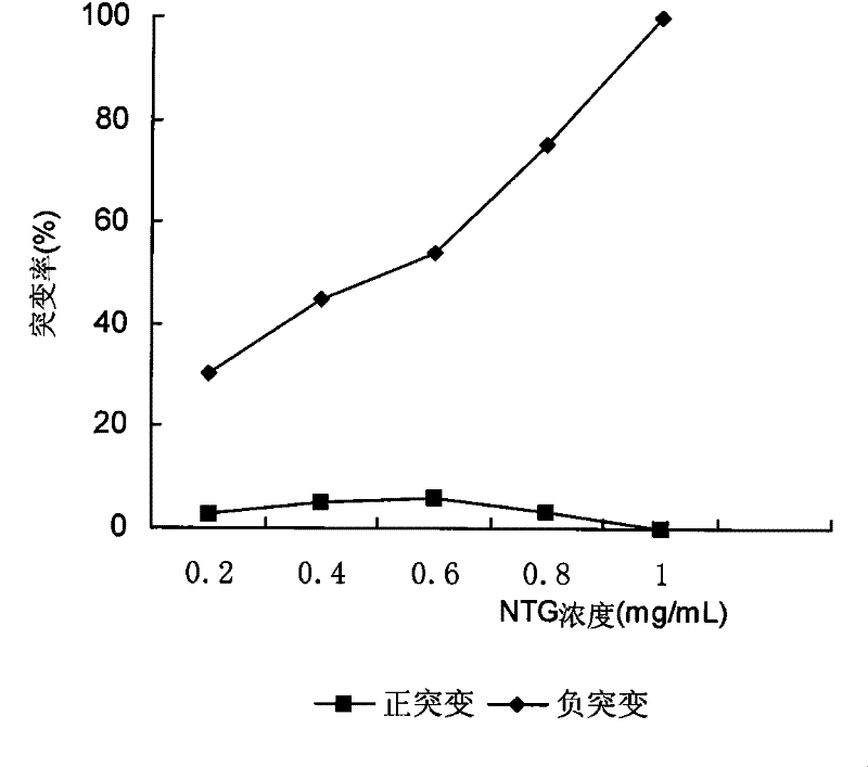 Saccharomyces cerevisiae mutant bacterial strain and use thereof in glutathion production by fermentation