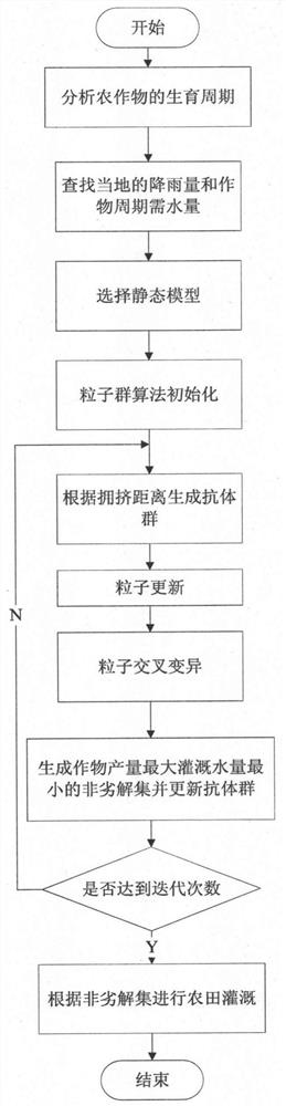 Optimal allocation method of irrigation water resources based on dual-objective immune particle swarm algorithm